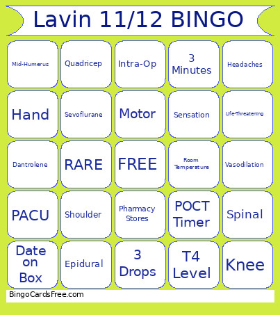 Lavin 11/12 Bingo Card