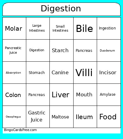 LC Digestion Bingo Card