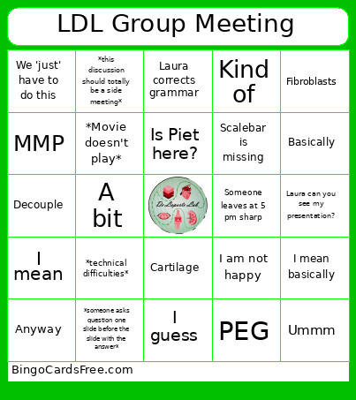 LDL Group Meeting Bingo Card