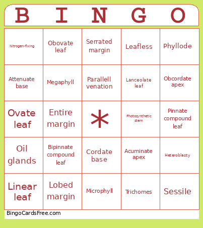Leaf Bingo Card