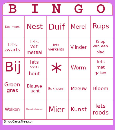 Lente Bingo Card