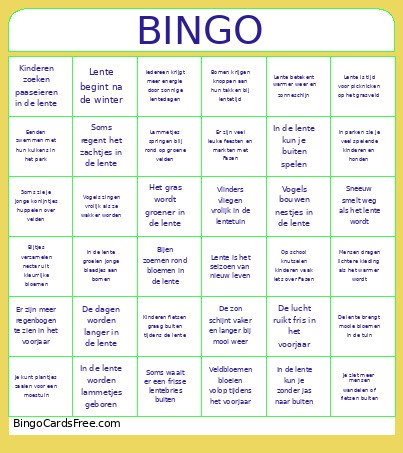 Lente Bingo Card