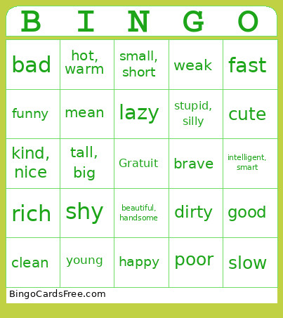 Les Adjectifs Bingo Card
