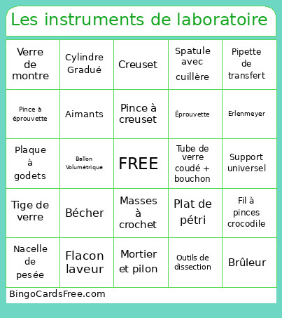 Les Instruments De Laboratoire Bingo Card