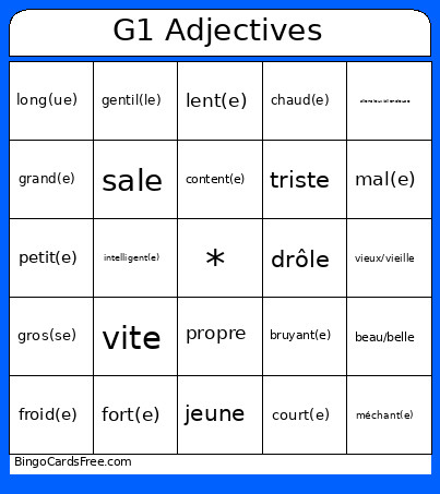 LESS ADJECTIFS Bingo Card
