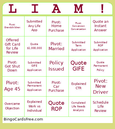 LIAM 2025 Bingo Card
