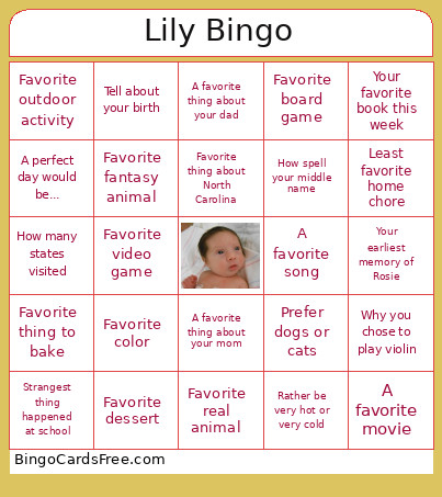 Lily Bday 2025 Bingo Card