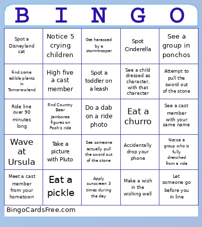 Lindy's Birthday Madness! Bingo Card
