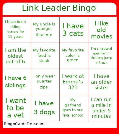 Link Leader Bingo Card