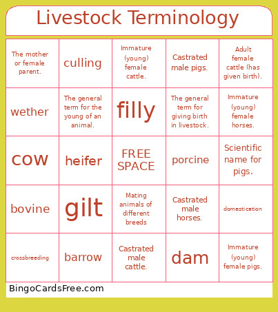 Livestock Terminology Bingo Card