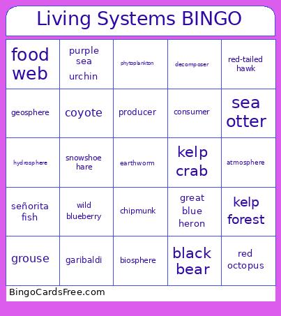 Living Systems Bingo Card