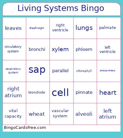 Living Systems Bingo Card