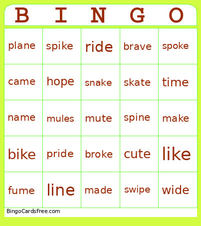Long Vowels Bingo Card