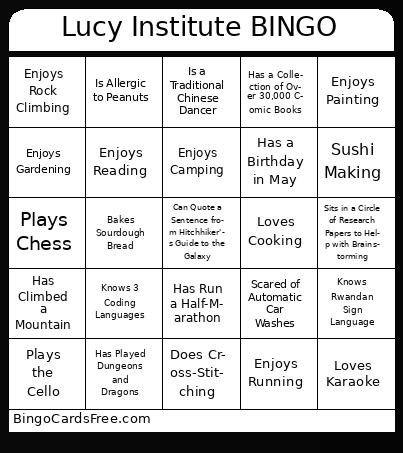 Lucy Institute Bingo