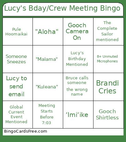 Lucy's Bday/Crew Meeting Bingo Card