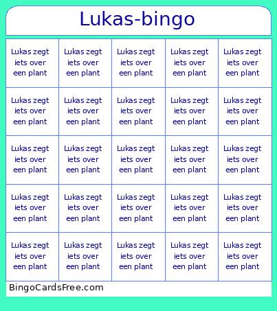 Lukas- Bingo Card