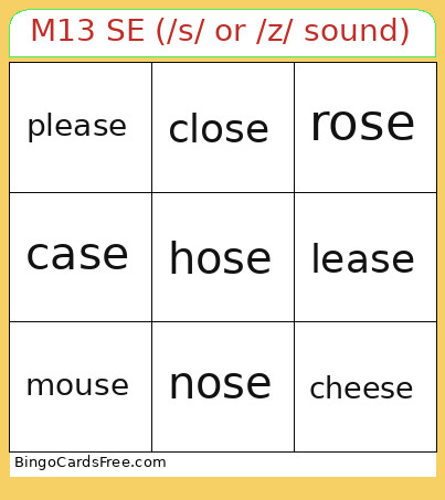 M13 SE (/s/ Or /z/ Sound) Bingo Card