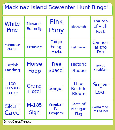 Mackinac Island Scaventer Hunt ! Bingo Card