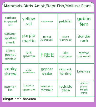 Mammals Birds Amph/Rept Fish/Mollusk Plant Bingo Card