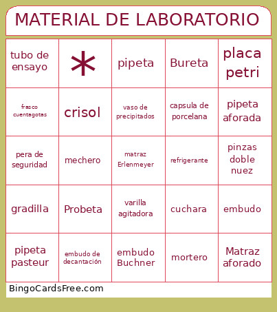 MATERIAL DE LABORATORIO Bingo Card 2