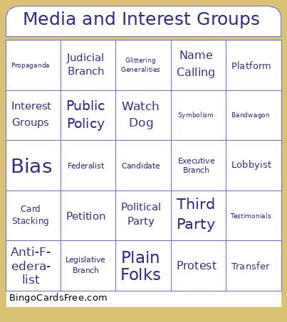 Media and Interest Groups Bingo