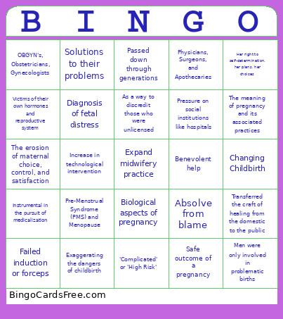 Medicalization Of Childbirth Bingo Card