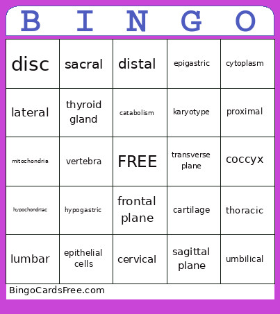 MedTerm Bingo Card