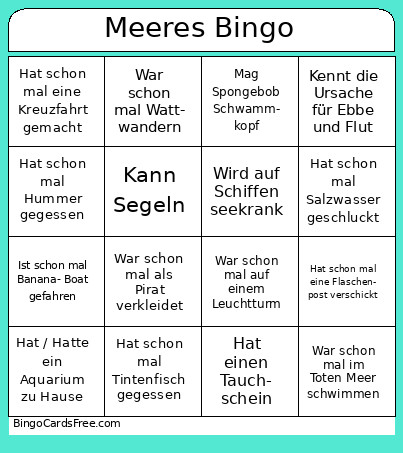 Meeres Bingo Card