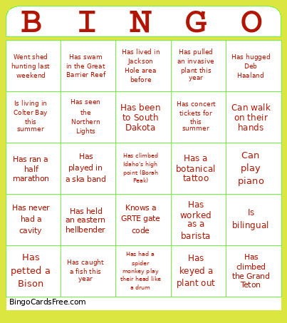 Meet And Greet Bingo Card