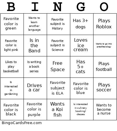 Meet Your Classmates Bingo Card