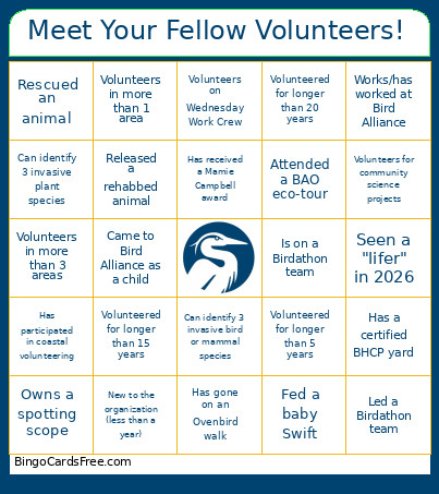 Meet Your Fellow Volunteers! Bingo Card