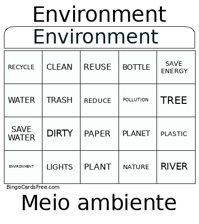 Meio Ambiente Bingo Card