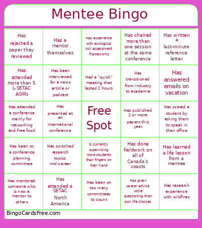 Mentee Bingo Card
