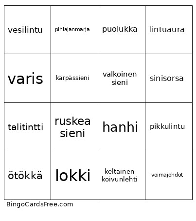 Metroretki Bingo Card