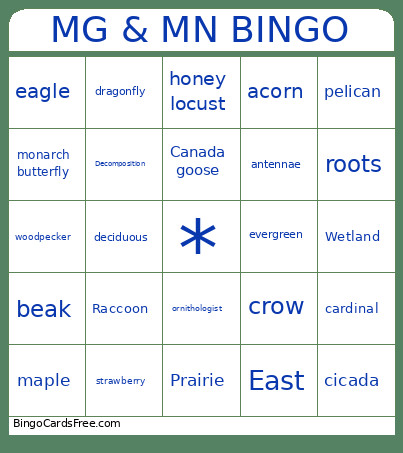 MG & MN Bingo Card