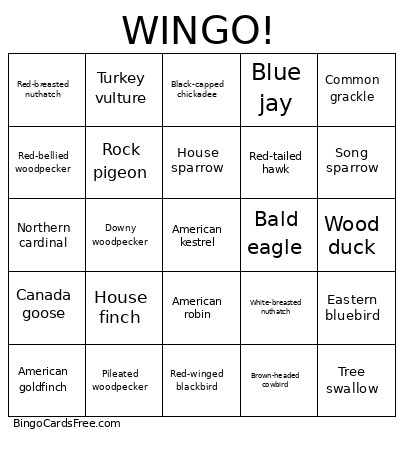 Midwestern Spring Bird WINGO Bingo Card