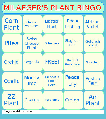 MILAEGER'S PLANT Bingo Card