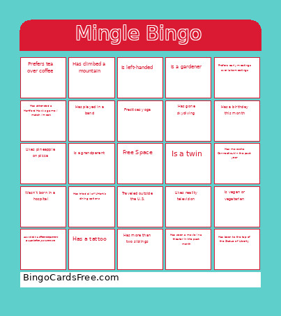 Mingle Bingo Card