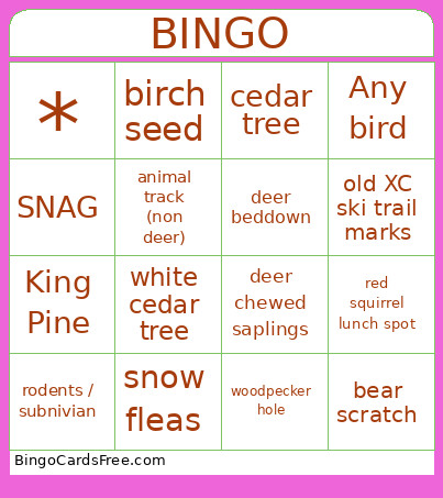 MLTtour Bingo Card