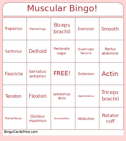 MMSS 2026 - Day 5 - Muscular Sheets Bingo Card