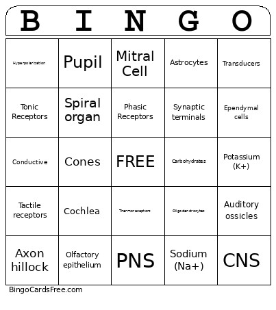 Mod 2 Bingo Card