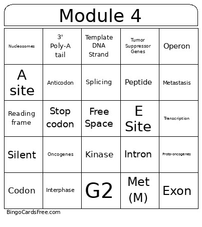 Module 4 Bingo Card