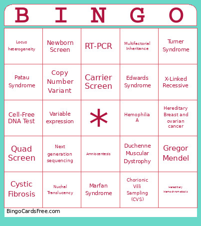 Module 4! Bingo Card