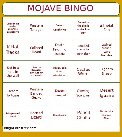 Mojave Bingo Card 2