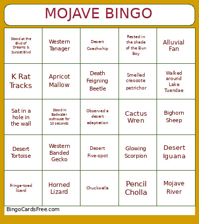 MOJAVE Bingo Card