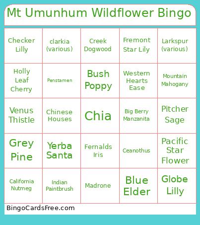 Mt Umunhum Wildflower Bingo Card