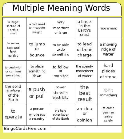 Multiple Meaning Words Bingo Card