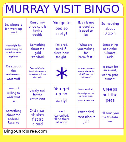 MURRAY VISIT Bingo Card