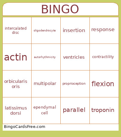 Muscle And Nervous System Bingo Card