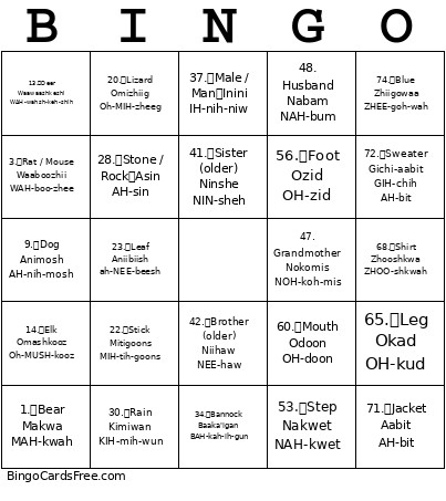 Muskowekwan 4 Pillars Saulteaux Bingo Card